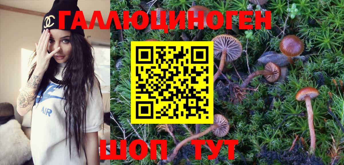 Ковров  Галлюциногенные грибы мицелий  Вход с VPN 
